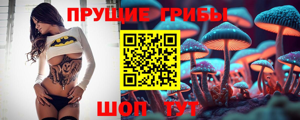 Галлюциногенные грибы Psilocybine cubensis Петрозаводск