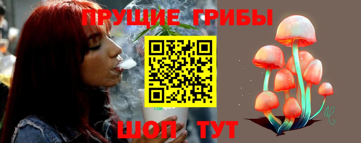 Петрозаводск  Псилоцибиновые грибы Cubensis  Вход с VPN 